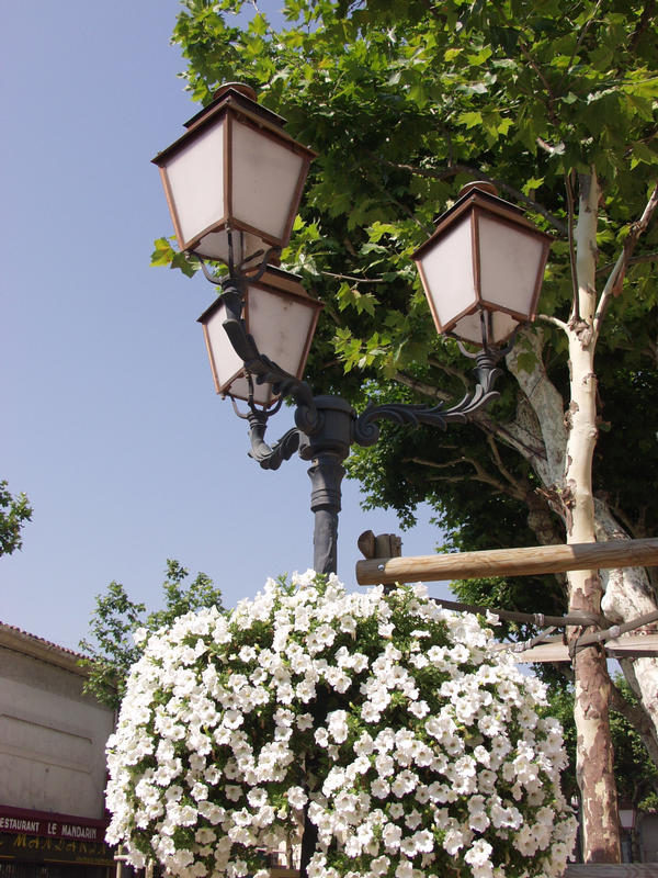 Flowers and a lamp post - Toinen Linja