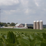 A field and a farm