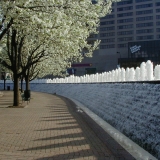 Fountains and decorative trees in downtown Lexington