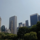 Skyscrapers bordering the Central Park