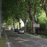 A road shadowed by trees