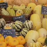 Pumpkins for sale