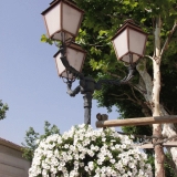 Flowers and a lamp post