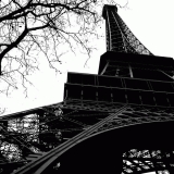 The Eiffel tower