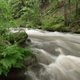 Palokoski rapids