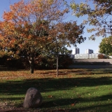 Tervasaari at fall, Merihaka in the background