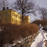 A building's back yard