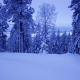 A snowy landscape