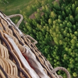 A hot air balloon's gondola and pine forest