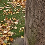 Tomb stone and a leaf covered lawn at the Old church park