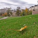 A leaf dropped by autumn