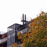 Penthouses and a tree in autumn