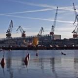 Buoys and cranes