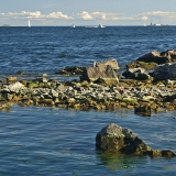 A rocky shoreline at Lnsi-Musta