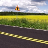 Road, roadsign and a field