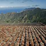 A roof and a view to northern Tenerife