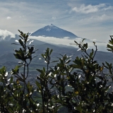 Teide seen from Pico del Ingles