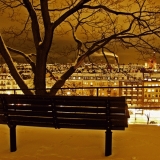 A bench and a view from the observatory hill