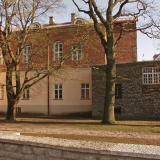 Trees and houses