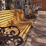 Benches in a park