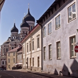 Alexander Nevsky's cathedral