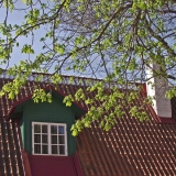 A roof and a tree