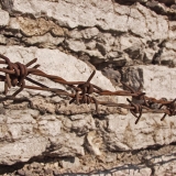 Barbed wire and a stone wall