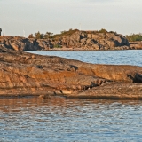 A house at Skrobban island