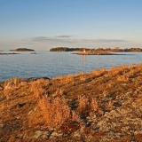 Vegetation on beach rocks