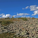 Stony soil at Pellisenp in Lemmenjoki national park