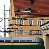 A tram's rear at Vallila tram halls