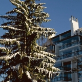 A snowy fir and the apartment building at Keskatu 8