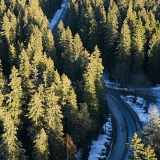 The road to Puijo hill seen from the tower