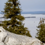 Quatrzite at the peak of Ukko-Koli