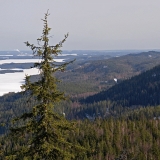 View from Ukko-Koli in direction of Mkr and Nuutilanvaara, lake Pielinen on the left