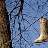 A rubber boot hanging from a tree support cable