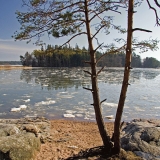 View of the beach at Ruissalo