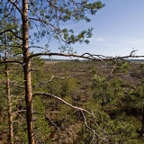 Scenery from the outlook tower at the nature path in Valkmusa national park