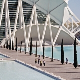 The science museum at the Valencia art and science center