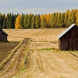 A field in autumn colors