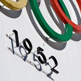 The olympic rings