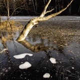 The icy Kruunuvuorenlampi pond