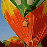 Hot-air balloons taking off