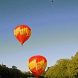 Hot-air balloons taking off