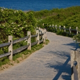 A path leading to the beach