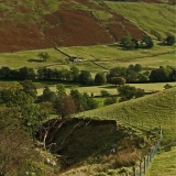 A green valley at Lake District