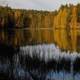 Haukkalampi at Nuuksio national park