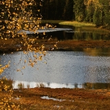 Turf islets at Mustalampi