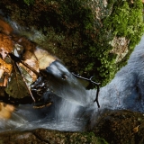 A creek in autumn