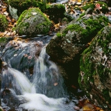 A creek in autumn